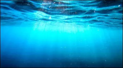 Quel est le plus grand oc&eacute;an de la Terre ?