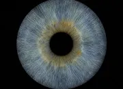Quiz La couleur des yeux en culture générale