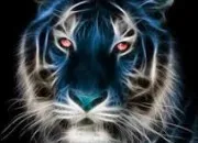 Quiz Les animaux ? (2)