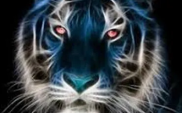 Quiz Animaux