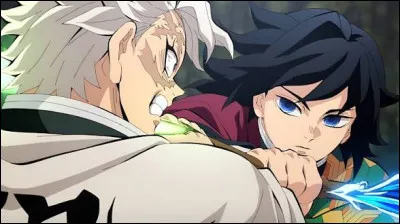 Sanemi vs Giyu.Qui gagne ?