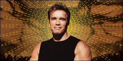 De quel &eacute;tat am&eacute;ricain Arnold Schwarzenegger est-il le gouverneur de 2003 &agrave; 2011 ?
