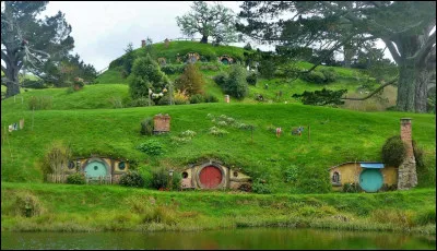 Quel pays a servi de d&eacute;cor &agrave; une partie importante du tournage du film Le Seigneur des anneaux : La Communaut&eacute; de l'anneau (2001) ?