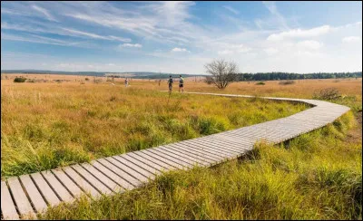 Les Hautes Fagnes sont un haut plateau et une r&eacute;serve naturelle unique en Belgique, situ&eacute;e &agrave; l'est de la province de Li&egrave;ge. C'est dans cette r&eacute;gion que se trouve le Signal de Botrange, point culminant de la Belgique. &Agrave; quelle altitude s'&eacute;l&egrave;ve-t-il ?
