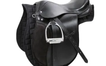 Quiz Equitation