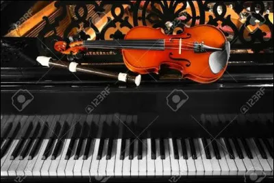 Dans lequel de ces instruments de musique peut-on trouver une &acirc;me ?