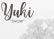Quiz Les homonymes dans les mangas : les Yuki !