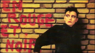 En 1986, son look surprend mais elle conna&icirc;t un grand succ&egrave;s avec sa chanson "En rouge et noir".Qui est cette chanteuse ?