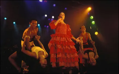 En 1989, quelle danse br&eacute;silienne a fait bouger et danser la France le temps d'un &eacute;t&eacute; ?