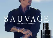 Quiz Autour du mot Sauvage