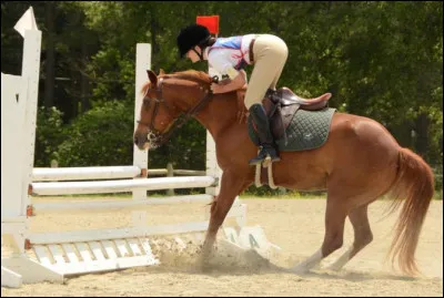 Si ton cheval refuse un obstacle, que fais-tu ?