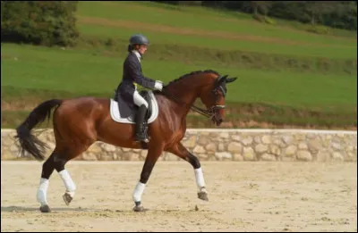 Si ton moniteur te demande une figure de man&egrave;ge au galop, comment r&eacute;agis-tu ?