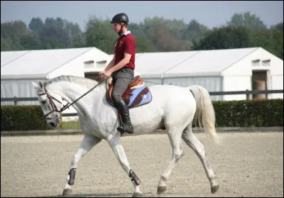 Sais-tu faire une transition trot &rarr; galop ?