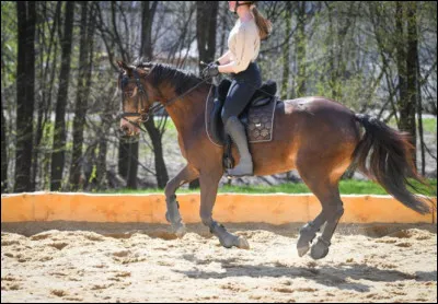 Sais-tu reconna&icirc;tre le bon pied au galop ?