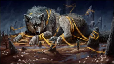 Dans le mythe de la capture de Fenrir, le dieu Tyr perd un membre. Lequel ?