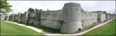 Quelle ville de Seine-et-Marne ceinte de remparts est appel&eacute;e "cit&eacute; des roses" ?
