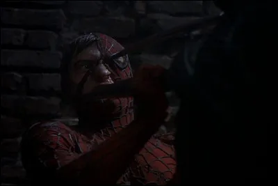 Lors de l'affrontement final entre Spider-Man et le Bouffon Vert, Peter d&eacute;couvre une v&eacute;rit&eacute; particuli&egrave;rement importante concernant son adversaire. De quoi s'agit-il ?