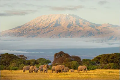 Le mont Kilimandjaro se trouve au Kenya.
