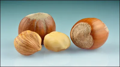 Lieu de Plaisir.