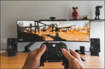 My brother usually ________ (play) video games after dinner.