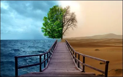 Dans ta vie secr&egrave;te &agrave; l&rsquo;oppos&eacute; de ta vie r&eacute;elle, tu es :