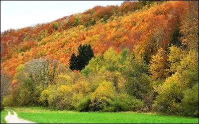 Quel philosophe associe la morale &agrave; la recherche de la vertu personnelle ?