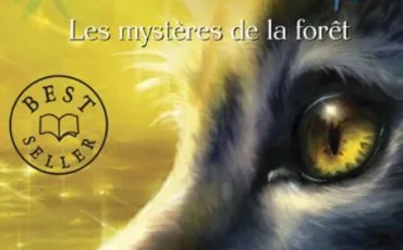 Quiz Littérature, poésie