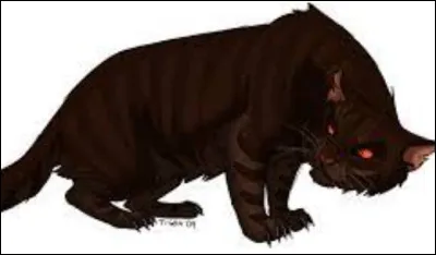 Qui a attaqu&eacute; le Clan du Tonnerre et est devenu aveugle ?