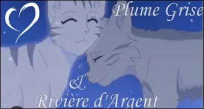 Pour quelle raison ?