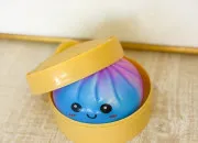 Test Quel Squishy Dumpling es-tu ?