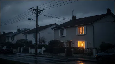 Soudain, coup de coupure d'&eacute;lectricit&eacute; ! C'est le noir total dans le salon. Quelle est ta r&eacute;action ?