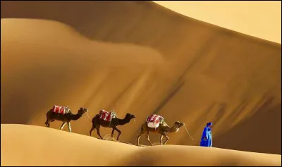 Sur quel continent se trouve le d&eacute;sert du Sahara, le plus grand d&eacute;sert chaud du monde ?