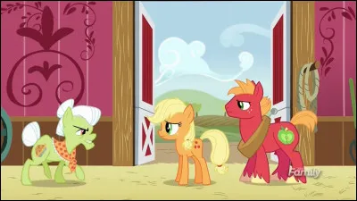 Comment s'appelle le grand fr&egrave;re d'Applejack ?