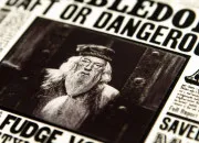 Test Harry Potter : bienvenue au Chicaneur