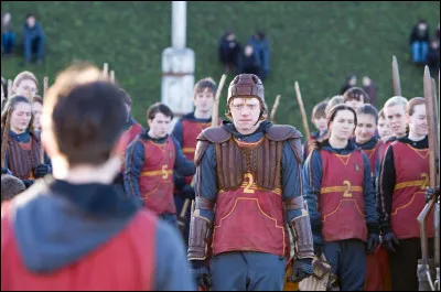 Tu fais partie de l'&eacute;quipe de Quidditch, tu es :