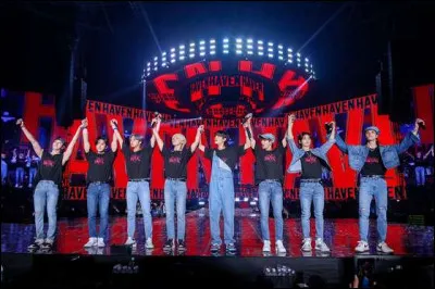 Les Stray Kids savent rep&eacute;rer les talents mais o&ugrave; t&rsquo;ont-ils entendu/vu ?