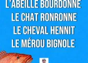 Quiz La Culture G part dans tous les sens