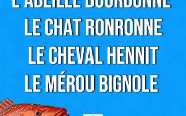 Quiz Cerveau