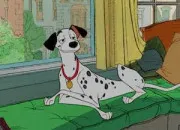 Quiz Journée mondiale du dessin animé ! Les animaux de fiction