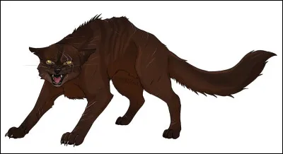 Indice 1 : Ce matou &eacute;tait un fid&egrave;le alli&eacute; d'&Eacute;toile Bris&eacute;e.Indice 2 : C'est le fr&egrave;re d'&Eacute;toile Noire.Indice 3 : Il tua Petite Feuille sans aucune piti&eacute; et d&eacute;roba des chatons du Clan du Tonnerre.