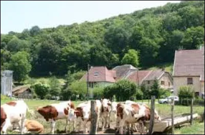 Village de l'aire d'attraction Bisontine, Tallans se situe dans le d&eacute;partement ...