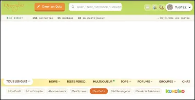 Choisis un &eacute;l&eacute;ment de la page d'accueil qui te repr&eacute;sente le mieux :