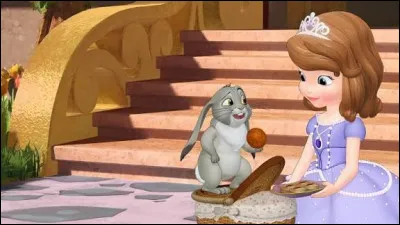 Comment s'appelle ce dessin anim&eacute; ?
