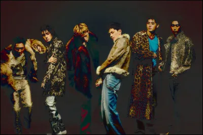 Comment s&rsquo;appelle leur nouvel album ? (2026)