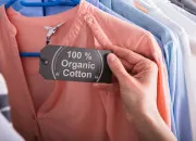 Quiz Commerce - Les marques de vêtements ayant généré le chiffre d'affaires le plus élevé dans le monde
