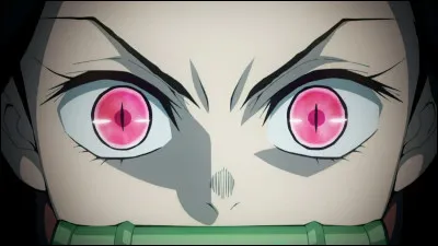 Que devait-il lui apporter pour qu'elle gu&eacute;risse Nezuko ?