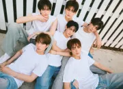 Quiz Retrouve le nom des fandoms de ces groupes/solistes