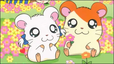 Comment s'appelle ce dessin anim&eacute; ?