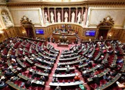 Quiz Politique française - Le Sénat et le pouvoir législatif