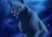 Quiz Étoile Bleue